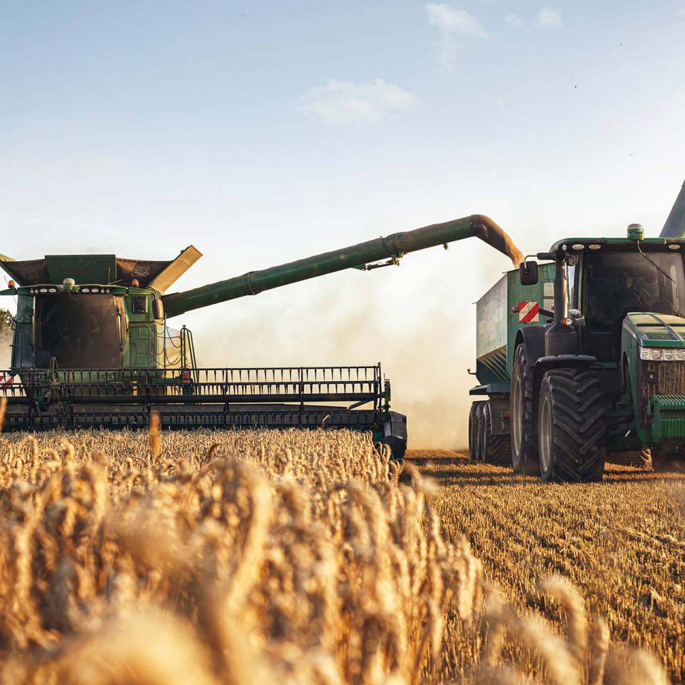 Harvesting vehicles working in a field